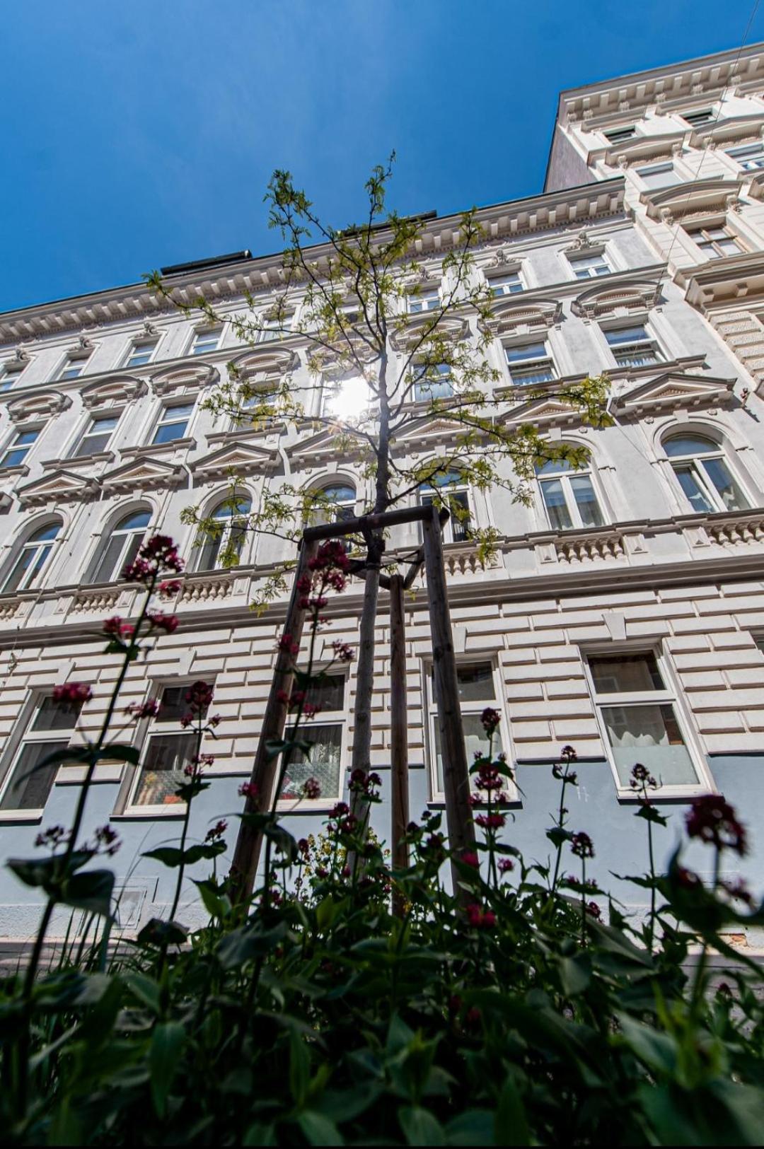 Vienna My City Apartment Garden View Εξωτερικό φωτογραφία